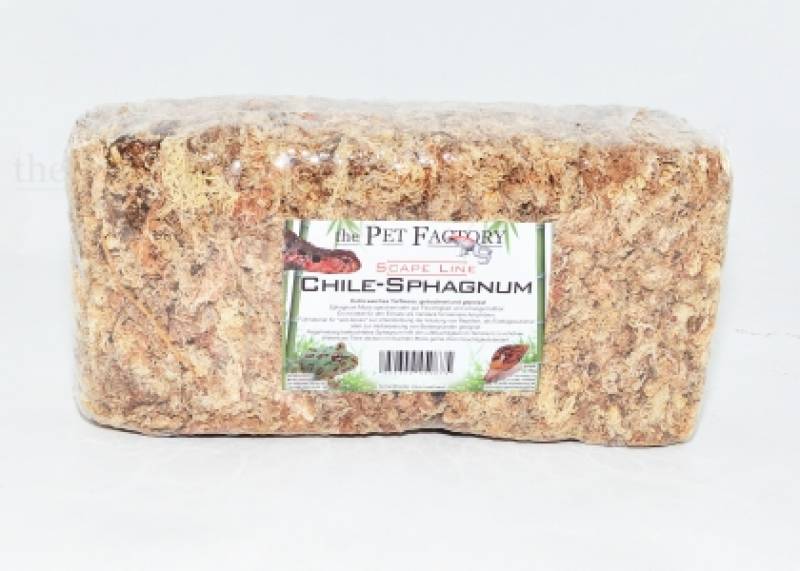 Chile Sphagnum soft 150 g